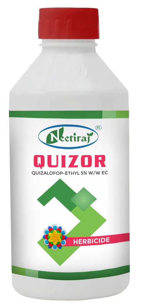 Quizor
